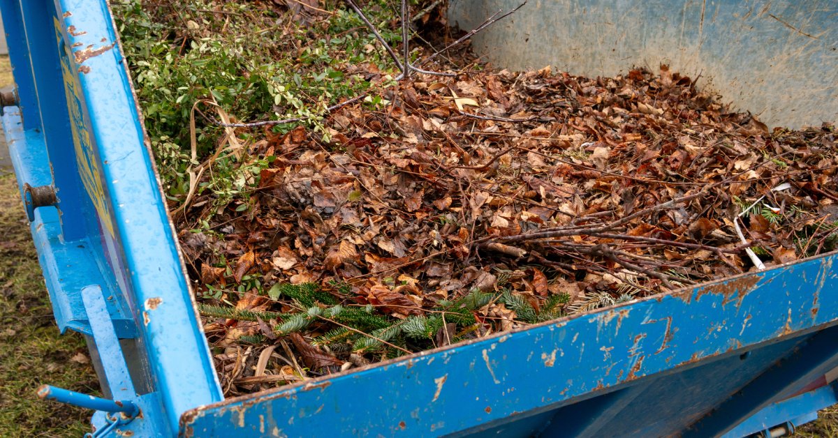 Dumpsters Rentals for Yard Waste: What To Know